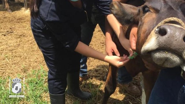Ingeniero Agrónomo Zootecnista 