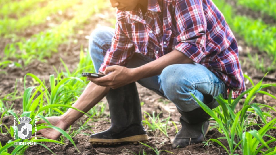Ingeniero Agrónomo Zootecnista