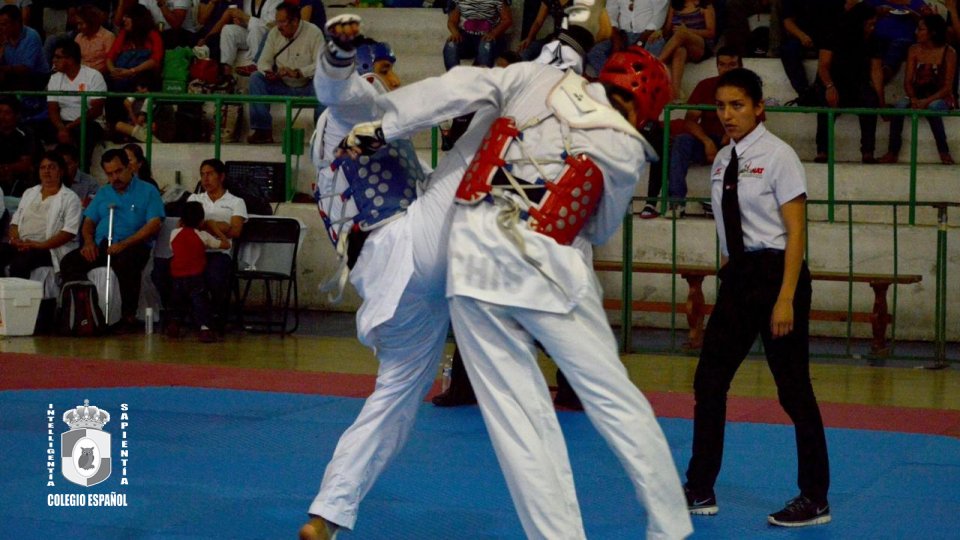 Tae Kwon Do