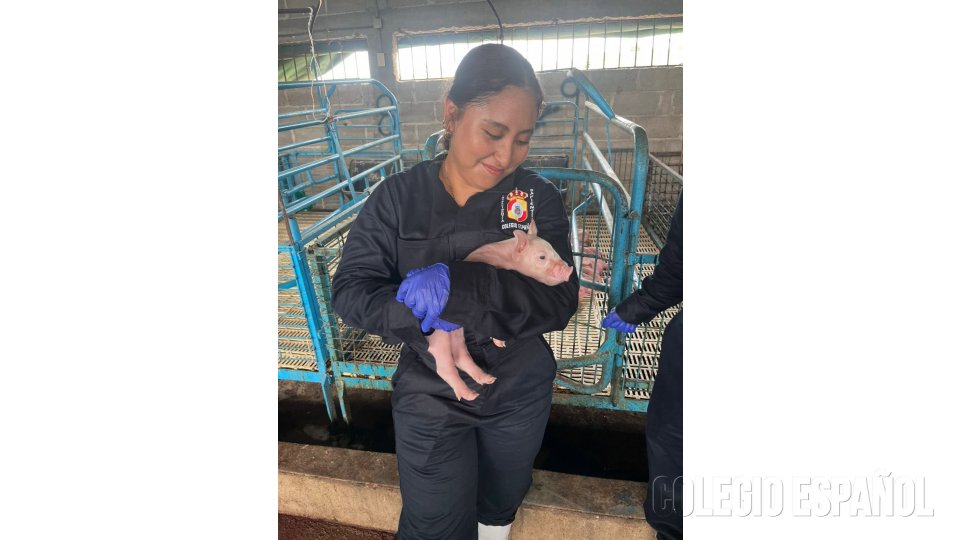 Ingeniero Agrónomo Zootecnista Colegio Español del Sureste